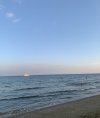 IMG_2030.jpeg