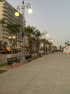 IMG_2060.jpeg
