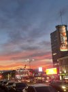 IMG_7177.jpeg