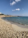 IMG_2428.jpeg