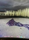 IMG_7184.jpeg