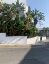 IMG_2665.jpeg IMG_2665.jpeg
