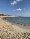 IMG_2668.jpeg IMG_2668.jpeg