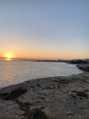 IMG_2677.jpeg IMG_2677.jpeg