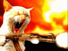 IMG_2326.gif