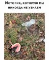 IMG_1052.jpeg