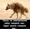 IMG_20220410_104837.jpg