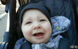 IMG_1054.gif