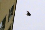IMG_5120.jpeg
