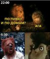 1764339673562.jpeg