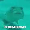 6fb8ec1232b04803fd6833342718ccb3.jpg