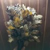 IMG20251206171324.jpg