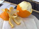 IMG_2390.jpeg