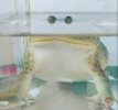 IMG_7932.jpeg