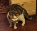 1765303122881.png