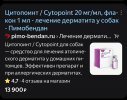 IMG_8012.jpeg