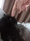 20251212_193944.jpg
