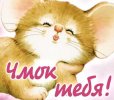 IMG_1343.jpeg