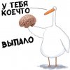 IMG_1380.jpeg