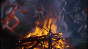IMG_8116.gif