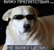 IMG_1727.jpeg