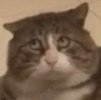 IMG_1821.jpeg