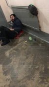 images (9).jpeg