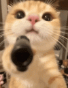 IMG_2397.gif IMG_2397.gif