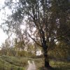 IMG_20201003_143833.jpg