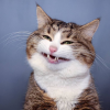 1604925380639.png 1604925380639.png