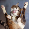 1604925416073.png 1604925416073.png
