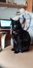 IMG-20200324-WA0001.jpeg