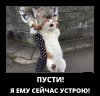 2-29.jpg 2-29.jpg