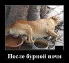 1560350601_smeshnye-demotivatory_xaxa-net.ru-9.jpg 1560350601_smeshnye-demotivatory_xaxa-net.ru-9.jpg