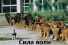 images_7866.jpg