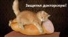 images_9717.jpg