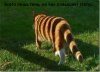 images_8606.jpg