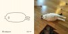 catsssss-01.jpg