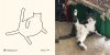 catsssss-3.jpg