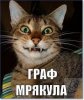 images.jpg