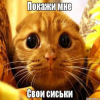 1606423337947.png 1606423337947.png