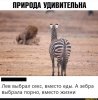 96ae1475a362cea9bb234c7234adc09a.jpg