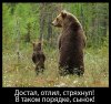 jumor-v-kartinkah-smeshnye-slegka-poshlovatye-i-dazhe-pravdivye-demotivatory-chast-3-mess-jand...jpg