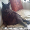 1606494556663.png