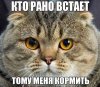 1556709226_35.jpg