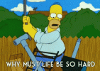 1000061121.gif 1000061121.gif