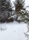 IMG_20260108_133013.jpg