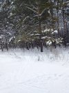 IMG_20260108_133016.jpg
