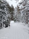 IMG_20260108_132958.jpg