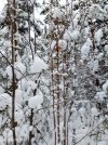 IMG_20260108_132935.jpg